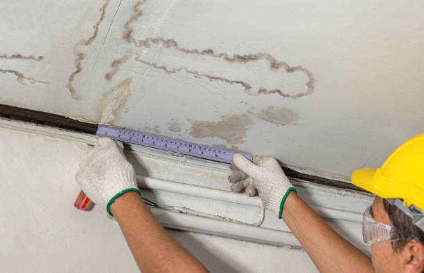 Affordable Water Damage Repair solutions in Bay City, OR
